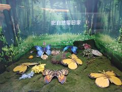 -陕西自然博物馆