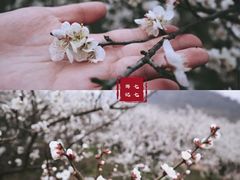 -原乡小镇度假乐园