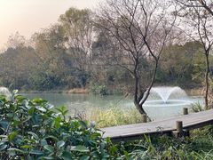 -西溪国家湿地公园