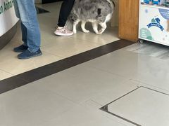 -爱侣宠医·鹦鹉专科·小型哺乳类·异宠专科(灵石路店)