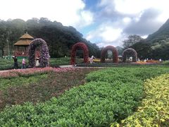 -广州市石门国家森林公园