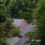 人均300躺进云山竹海‼️这么绝的地方居然沒人知道👀避暑指南