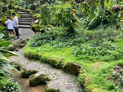 -深圳仙湖植物园
