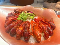-杨氏青龙虾·羊蝎子(珠江路店)