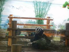 -西霞口神雕山野生动物世界