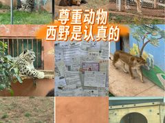 -青藏高原野生动物园