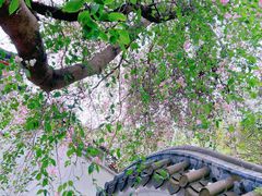 -深圳国际园林花卉博览园