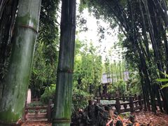 -望江楼公园