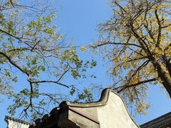 -新万鑫银丝面·非遗无锡味(惠山古镇店)