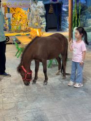 -酷嗒动物文化乐园(cutezoo西溪乐天城店)