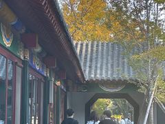 -护国法轮寺