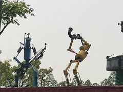 -上海长兴岛郊野公园