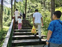-苏木山森林公园