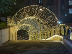 -厝包四点金·潮宴(太古仓店)
