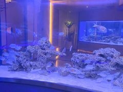 -上和臻品中国菜(花园街店)