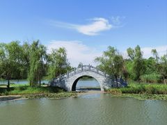 -泗洪洪泽湖湿地景区