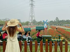 -盈香心动乐园