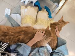 -平行世界·猫咖(首经贸店)