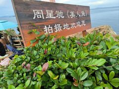 -杨梅坑