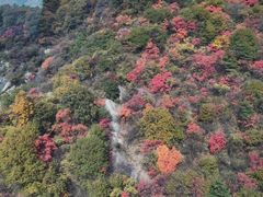 -少华山国家森林公园