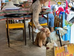 -半坡九号老挝冰咖啡