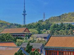 -湛山寺