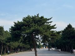 -北陵公园