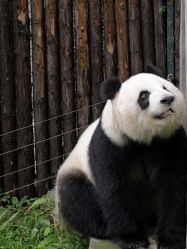 -Zoolung Zoolung动物主题公园(海信广场店)