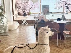 -Blue Concept Cafe&Farm·關於藍
