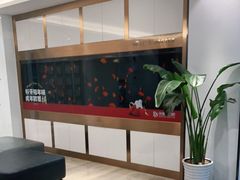 -牙博士口腔品牌连锁(杨浦店)