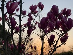 -白塘生态植物园
