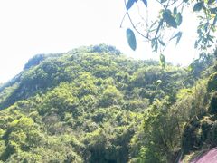 -仙岛湖旅游风景区