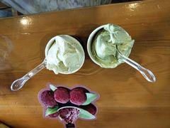 -野人牧坊Gelato(天津南开大悦城店)
