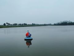 -洪湖湿地生态园