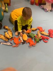 -meland亲子乐园·派对·研学(淄博万象汇店)