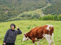 -硗碛藏寨·神木垒景区