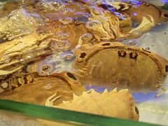 -诱货海鲜自助火锅(爱琴海购物公园东百店)