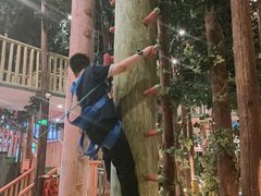 -黄海国家森林公园