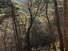 -阳台山自然风景区