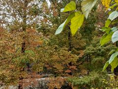 -白水寺森林公园