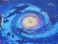 -海合安青岛极地海洋公园