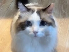 -白兔子密室(长寿路店)