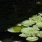 表里之城-台北
