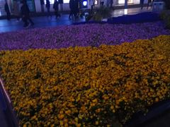 -沙洲路步行街(长安南路店)