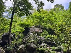 -陶祖圣境风景区