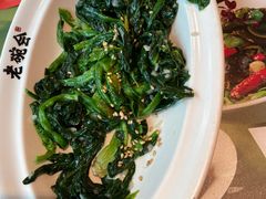 -老碗会·陕西手工面(中心书城店)