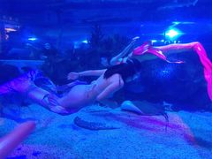 -成都浩海立方海洋公园