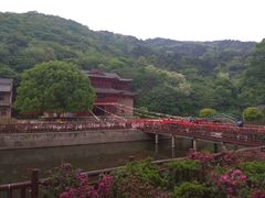 -木兰云雾山