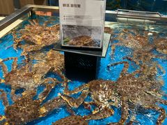 -盒马鲜生(领丰汇店)