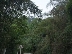 -樱桃山旅游景区